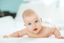 1670934419 TOD Bebek 1024x682