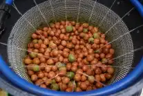 Antalya Büyükşehir’den Ceviz Üreticilerine Makine Desteği