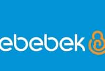 ebebekin 2025 ucuncu ceyrek hasilati yuzde 181 artisla 69 milyar tl oldu