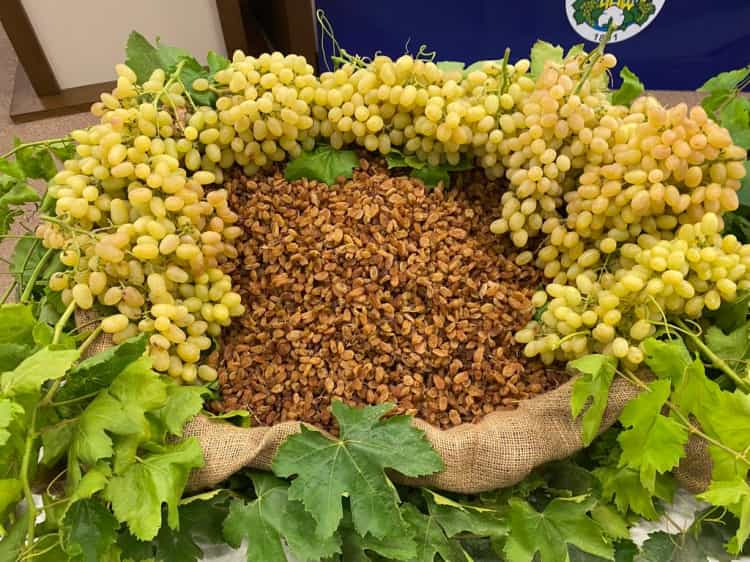 Egeli İhracatta Artış Pariteyle Desteklendi!