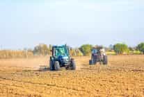 didimde topragin bereketi halkla bulusuyor