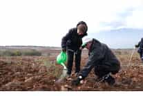 inegolde yesil vatan seferberligi
