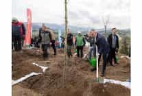 karamurselde yanan bolge 3 bin fidanla yeniden yeserecek