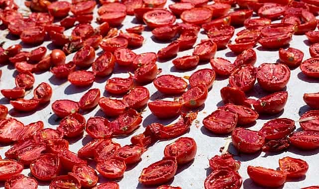 kuru domates ihracati 100 milyon dolari asti