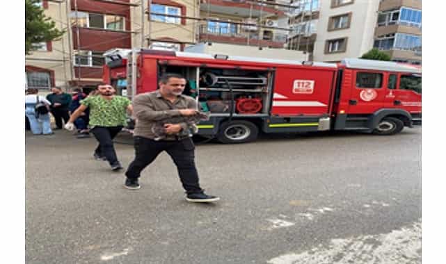 mazgala dusen kayip kopek ve yanginda mahsur kalan kediler itfaiyenin cabasiyla kurtarildi