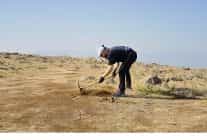 oyun dunyasindan dogaya destek