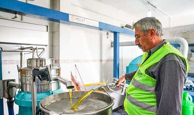 seferihisar belediyesinden ornek proje cocuklarin topladigi zeytinler sofralara bereket olacak