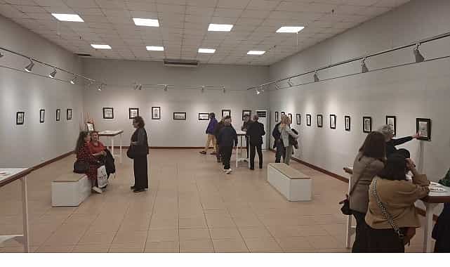 serginin geliri egitime destek dernegine