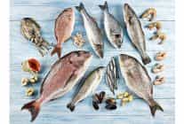 su urunleri ve hayvansal mamuller ihracatinin yuzde 47si ege bolgesinden yapildi