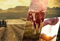 Tarım Destek Ödemeleri Çiftçilere Başladı