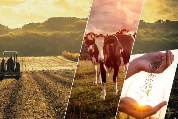 Tarım Destek Ödemeleri Çiftçilere Başladı