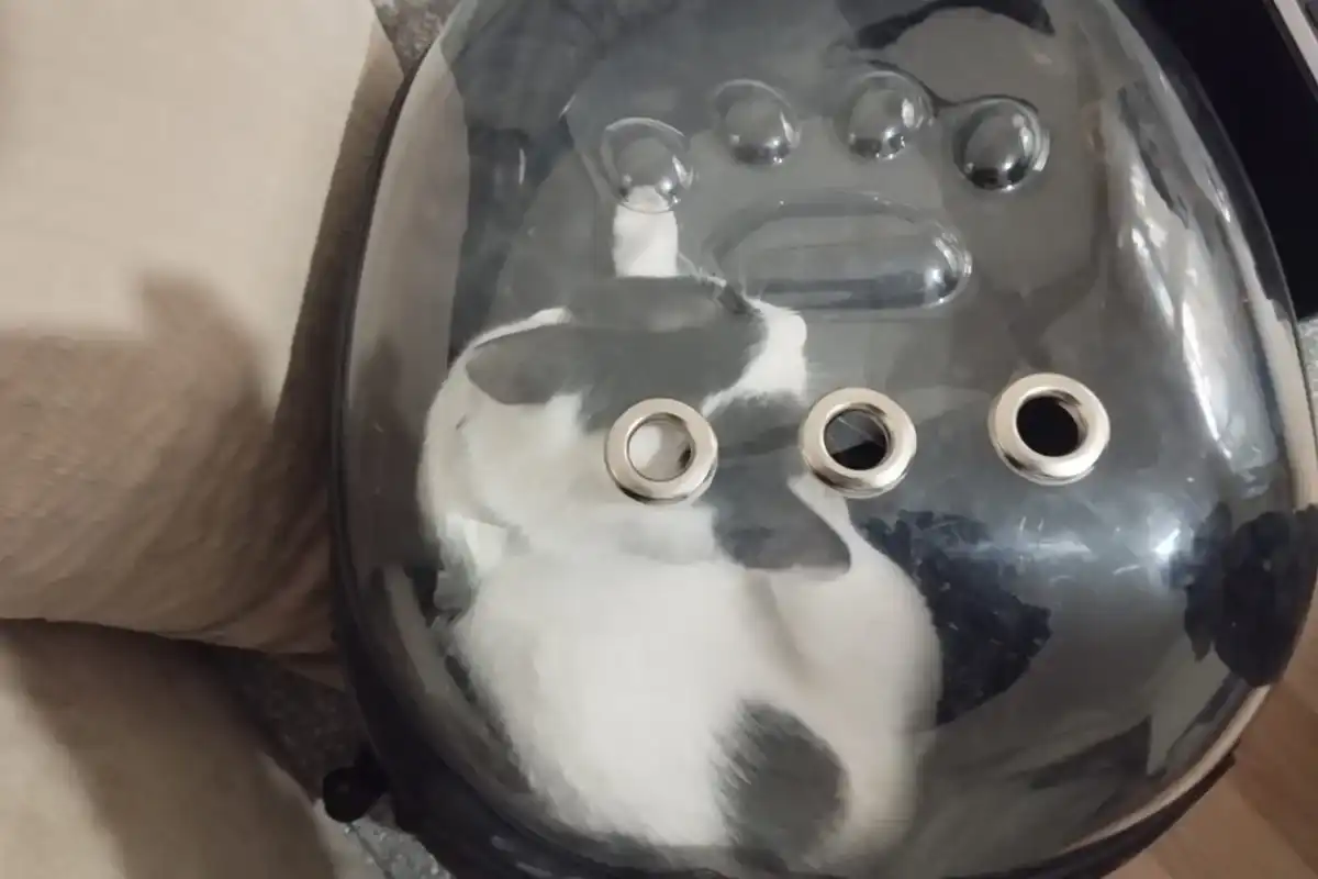 Kayseri İtfaiyesinden Tofu İçin Hızlı Müdahale