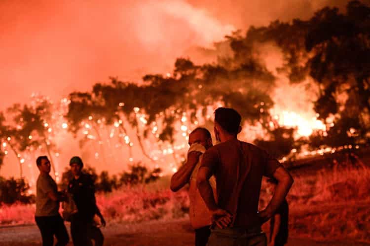 2025 İzmir İtfaiye Raporu: Yangınların Başlıca Sebebi Sigara
