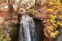 Mardin’in Doğal Harikası Sonbaharla Canlandı