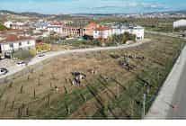 572 fidanli koruluk akhisara nefes olacak