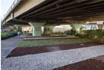 80 futbol sahasi buyuklugundeki alanda donusum tamam