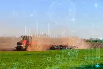 2025’te Bitkisel Üretimde Düşüş: TÜİK Verileri Açıklandı