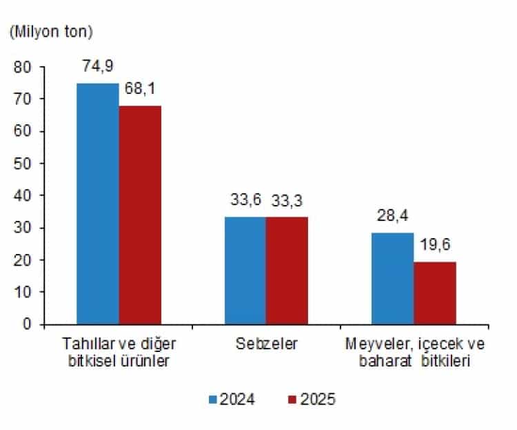 2025’te Bitkisel Üretimde Düşüş: TÜİK Verileri Açıklandı