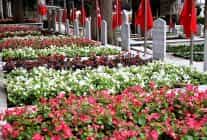 buyuksehirden sehitlerin emanetine ozenli bakim