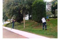 buyuksehirden yesil alanlara ozel bakim