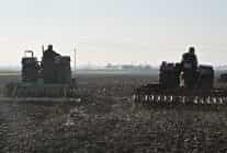 buyuksehirin tohumlari saricali mahallesinin merasini yesertecek