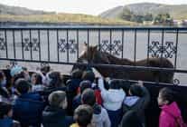 cocuklara hayvan sevgisi kazandiriliyor