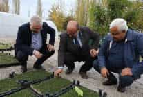 edremit belediyesinden kuresel isinma ve kuraklikla mucadele programi