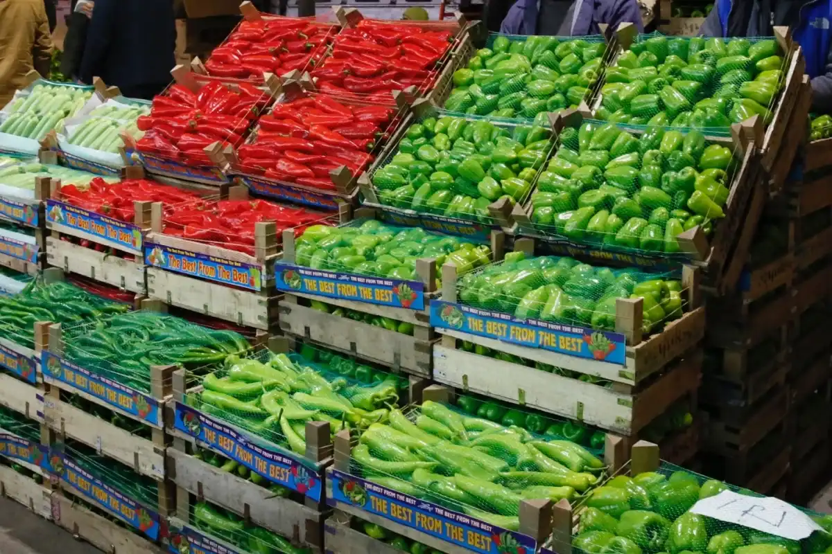 Hal Hakem Heyetleri Başvurularında Parasal Sınırlar 2026 İçin Güncellendi