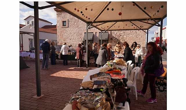 her sey ayvalik fidanlari icin