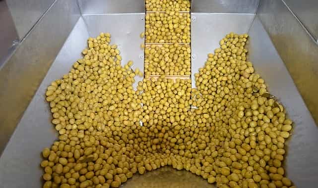 zeytin ve zeytinyagi sektorunde gucler urge projesinde birlestirilecek