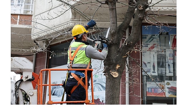 budama calismalarindan yakacak elde ediliyor