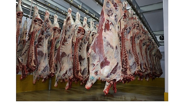 buyuksehir mezbahasinda 6 bin 29 kesim yapildi