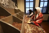 Türkiye’nin İlk Fındık Müzesi 50 Bini Aşkın Ziyaretçi Ağırladı