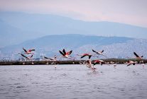 doga kultur ve lezzet tutkunlari yariyil tatilinde bu turlarda bulusacak