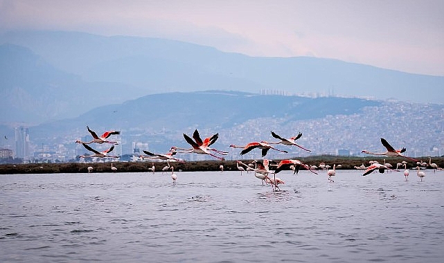 doga kultur ve lezzet tutkunlari yariyil tatilinde bu turlarda bulusacak