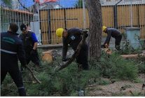 osmangazi belediyesinden lodosa karsi etkin mudahale